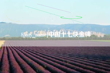桐乡中国十七块金牌