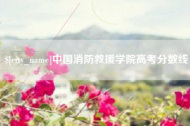 桐乡中国消防救援学院高考分数线