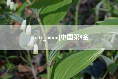 桐乡中国第9金