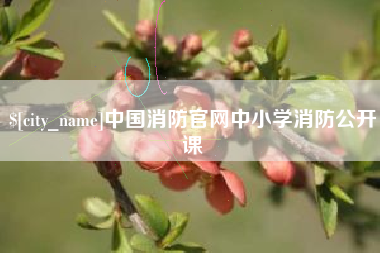 桐乡中国消防官网中小学消防公开课