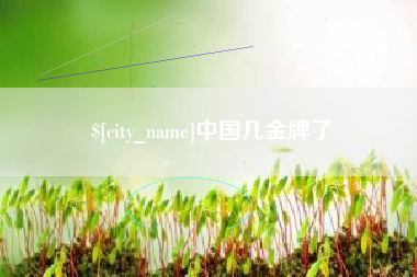 桐乡中国几金牌了