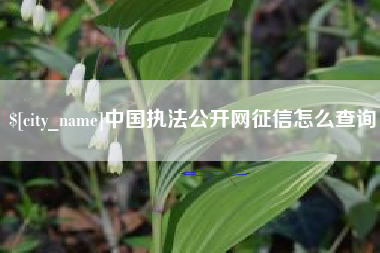 桐乡中国执法公开网征信怎么查询