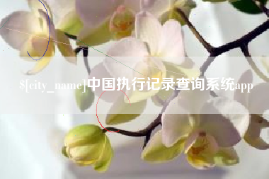 桐乡中国执行记录查询系统app