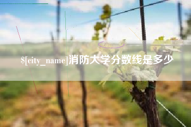 桐乡消防大学分数线是多少