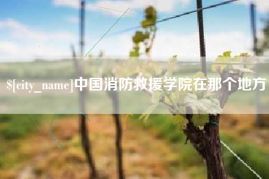 桐乡中国消防救援学院在那个地方