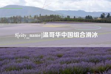 桐乡温哥华中国组合滑冰