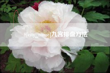 桐乡九宫排盘方法