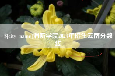 桐乡消防学院2024年招生云南分数线