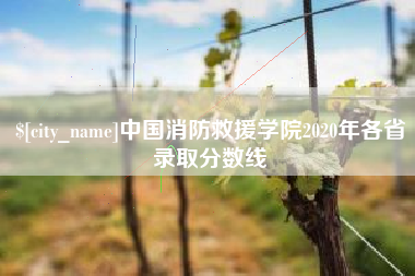 桐乡中国消防救援学院2020年各省录取分数线