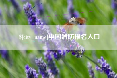 桐乡中国消防报名入口