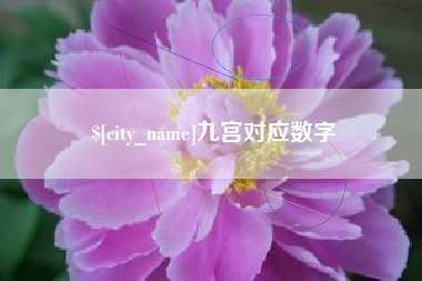 桐乡九宫对应数字
