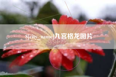 桐乡九宫格龙图片