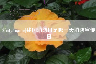 桐乡我国消防日是哪一天消防宣传日