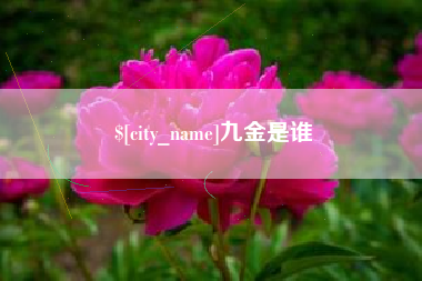 桐乡九金是谁