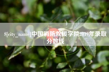 桐乡中国消防救援学院2019年录取分数线