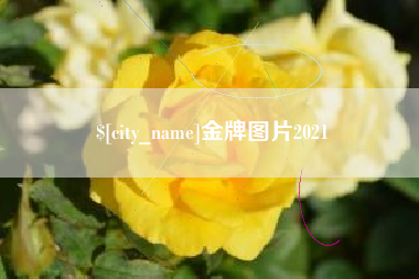 桐乡金牌图片2021