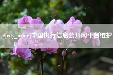 桐乡中国执行信息公开网平台维护