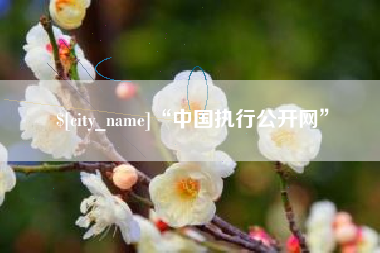 桐乡“中国执行公开网”