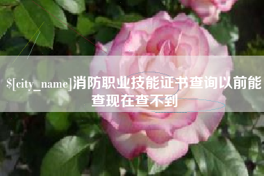 桐乡消防职业技能证书查询以前能查现在查不到