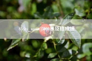 桐乡5000米及格成绩