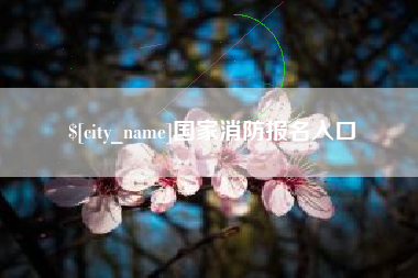 桐乡国家消防报名入口