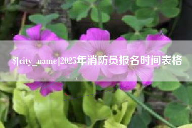 桐乡2025年消防员报名时间表格
