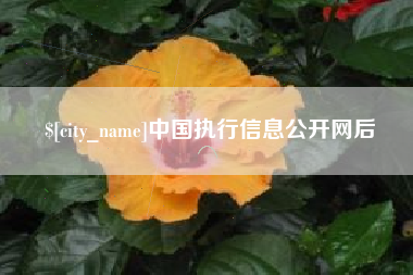 桐乡中国执行信息公开网后
