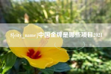 桐乡中国金牌是哪些项目2021