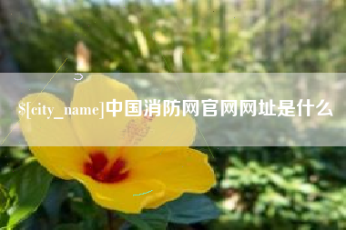 桐乡中国消防网官网网址是什么