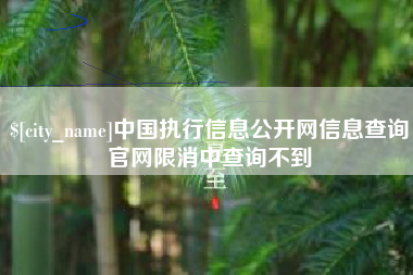 桐乡中国执行信息公开网信息查询官网限消中查询不到