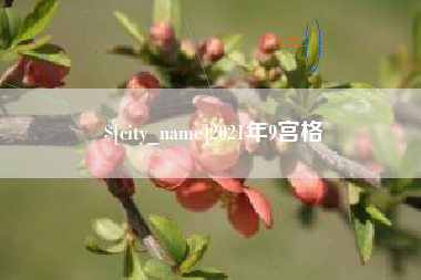 桐乡2021年9宫格
