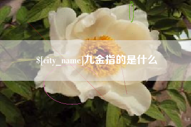 桐乡九金指的是什么