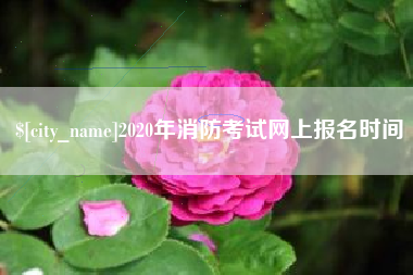 桐乡2020年消防考试网上报名时间