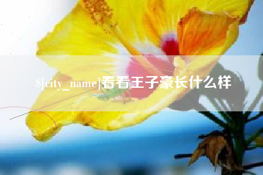 桐乡看看王子豪长什么样