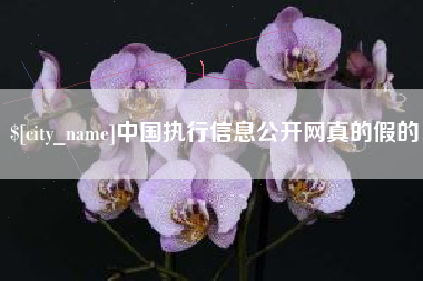 桐乡中国执行信息公开网真的假的