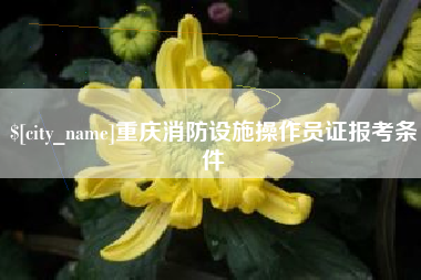 桐乡重庆消防设施操作员证报考条件