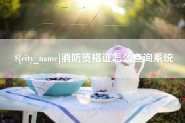 桐乡消防资格证怎么查询系统