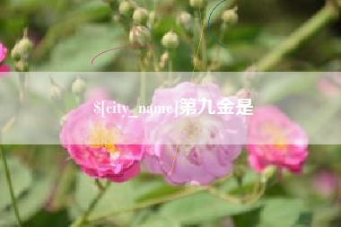桐乡第九金是
