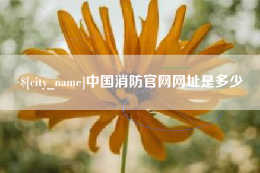 桐乡中国消防官网网址是多少
