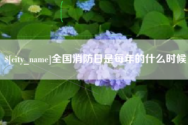 桐乡全国消防日是每年的什么时候