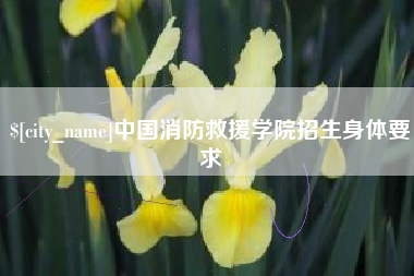 桐乡中国消防救援学院招生身体要求