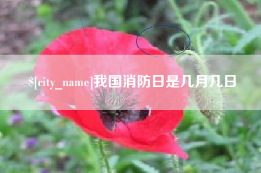 桐乡我国消防日是几月几日