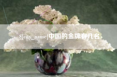 桐乡中国的金牌有几名