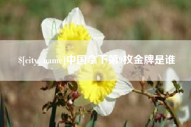 桐乡中国拿下第9枚金牌是谁