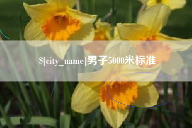 桐乡男子5000米标准