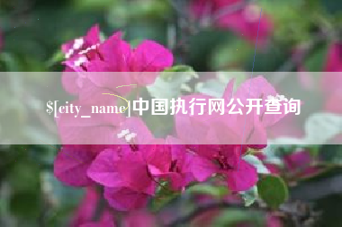 桐乡中国执行网公开查询