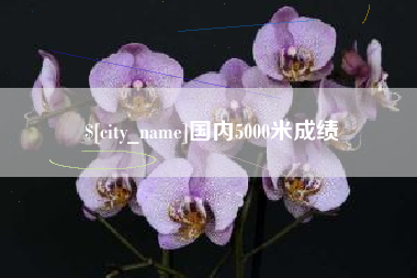 桐乡国内5000米成绩