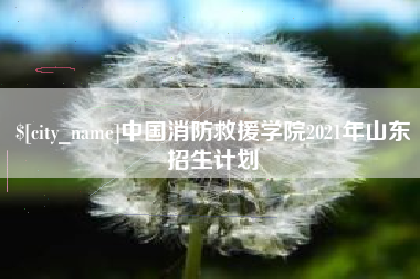 桐乡中国消防救援学院2021年山东招生计划