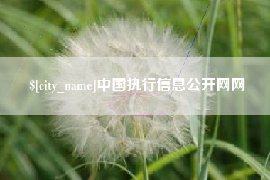桐乡中国执行信息公开网网