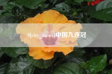 桐乡中国九连冠